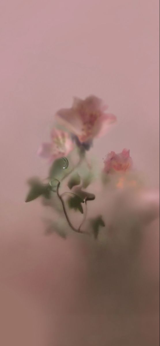 Аватар пользователя EnzoRidikk